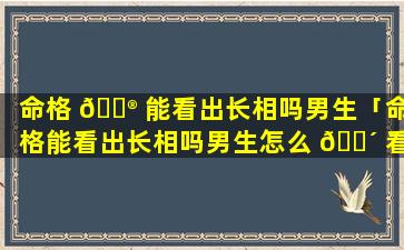 命格 💮 能看出长相吗男生「命格能看出长相吗男生怎么 🐴 看」